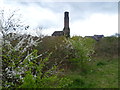 Old chimney seen from Oak Avenue Local Nature Reserve, Hampton