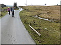 Waymarker post down on Glyndwr