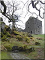 NM8300 : Carnassarie Castle by sylvia duckworth