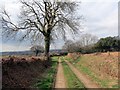 Llwybr ceffyl Gelliwastad bridleway