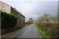 The road between Alhampton and Ditcheat passing Priors Lea