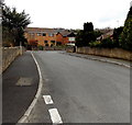 Houses at the eastern end of Taff Vale, Edwardsville