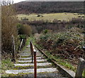 Steps down to the River Aman in Godreaman