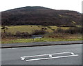 Bench with a view, Godreaman