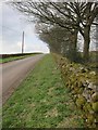 ST5152 : A nice stretch of well maintained dry stone wall, moss covered by Dr Duncan Pepper