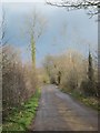 The minor road running Eastwards from Whitestown Farm to Harptree Wood