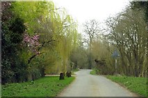 SP4101 : Rural road to Northmoor by Steve Daniels