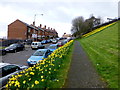 Fahan Street, Derry / Londonderry