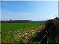 Looking across large field by Snode Hill to edge of woodland