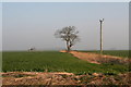 Architectural features  on the flat fields of Saltfleetby