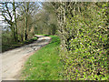 Unnamed lane past Lodge Farm