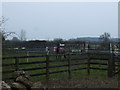 Grazing, Napton on the Hill