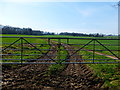 Bridleway across field to Theddon Grange