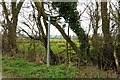 Footpath to the Thames Path