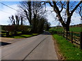 Bighton Road looking west