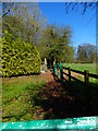 Path to Hattingley leaves Grove Farm