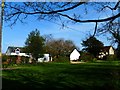 Houses on byway off Holt End Lane