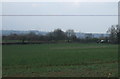 Crop field, Jubilee Farm