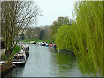 TL4559 : The River Cam in Cambridge by Roger  D Kidd