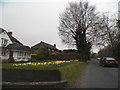 Houses on Headley Road, Langley Bottom