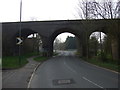 Railway bridge over Butlers Leap