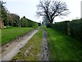 Bridleway Towards Eaves Green Farm