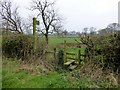 Footpath Towards Turner House