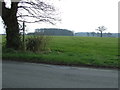 Footpath And Sign