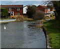 Houses along the Grand Union Canal