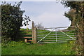 Mid Devon : Grassy Field & Gate