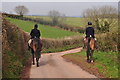 Mid Devon : Country Lane