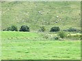 C6302 : Fields under Mullaghash by Richard Webb