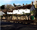 Thatched cottages in St Fagans