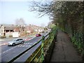 SX9194 : Raised pavement, east side, Cowley Bridge Road by Christine Johnstone
