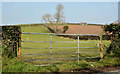 Field gate, Ballyallyoly near Comber (1)