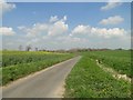 Road past Whitehouse Farm