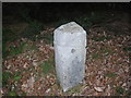 Milestone in Portsmouth Road, Hindhead