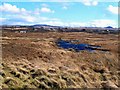 Wet Ground At Glenegedale