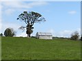 Field barn north of the Eshwary Road, Bessbrook