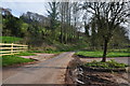 Mid Devon : Country Lane