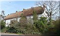 SX9694 : Thatched cottages at Pinn Hill by Christine Johnstone