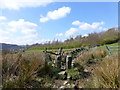 Ancient squeeze stile on path down from Pobgreen