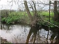 The River Chew upstream from Shrowl Bridge