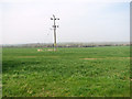 Electricity pole in wheat crop by Old Court Farm