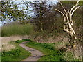 Path along the River Soar