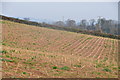 Mid Devon : Ploughed Field