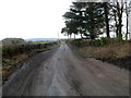 Muddy passing place, Clawdd y Parc Farm near Llangybi