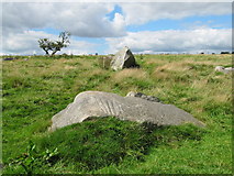SU1271 : The Polisher and Aethelferthe's Stone by David Tyers