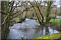 Looking down the river Bray from Meethe Bridge