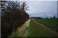 Yorkshire Wolds Way towards Warren Farm